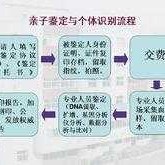 胎儿亲子鉴定怎么做（胎儿亲子鉴定怎么做）