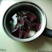 孕期拿什么泡水喝最好（孕妇可以喝紫苏叶泡水吗）