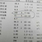 孕期转氨酶低（孕期转氨酶高能不能吃燕窝）
