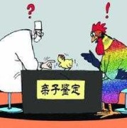 胎儿dna亲子鉴定方法（如何做dna亲子鉴定）