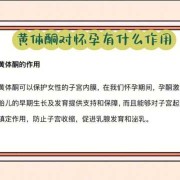 黄体酮的作用是什么呢,孕期孕酮起什么作用
