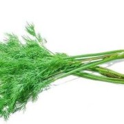 孕妇能吃小茴香吗,孕期可以吃茴香吗?
