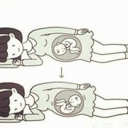 胎儿横位图片（孕37周，胎儿还是横位，怎么纠正）