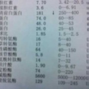 孕期白蛋白低（孕期白蛋白低对胎儿有什么影响）