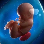 孕期五个月胎儿图片（孕期五个月胎儿图片一个月）