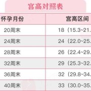 12周胎儿心率多少正常（怀孕12周胎心率173属于正常吗）