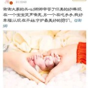 生双胞胎儿子（生双胞胎儿子怎么报喜）