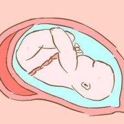 孕晚期胎儿打嗝位置（孕晚期胎儿打嗝位置判断胎位）