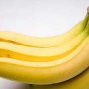 喂母乳可以吃香蕉吗？哺乳妈妈饮食怎样安排,怀孕期间可以吃香蕉吗晚期