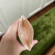 孕期身体乳（孕妇用身体乳）