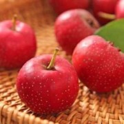 孕妇可以食用山楂吗,怀孕期可以吃山楂吗?