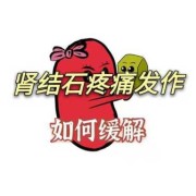 孕妇肾结石痛怎么办,孕期肾结石发作怎么办