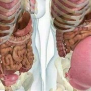 孕32周胎儿缺氧的症状（孕32周胎儿缺氧的症状）