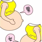 为什么老人都说孕肚圆怀的是女儿,孕期肚子圆的是男是女