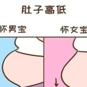 孕期下怀男孩还是女孩（孕期下怀男孩还是女孩）