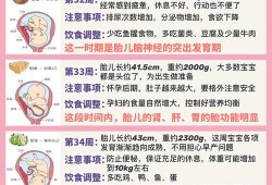 胎儿各周发育情况（孕周40周胎儿发育标准是多少？孕晚期多吃什么对胎儿有好处）