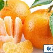 孕妇血糖偏高能吃橘子吗,孕期血糖高可以吃橘子吗晚期