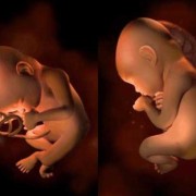 怀孕30周胎儿能存活吗（怀孕30周胎儿能存活吗）