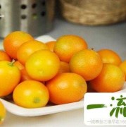 孕期能吃金桔吗（孕期能吃金桔吗?）