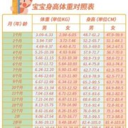 九个月胎儿发育标准（九个月胎儿发育标准图）