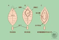 孕期阴道口痒怎么办（孕妇下面痒会影响胎儿吗）