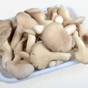 孕妇吃蘑菇对胎儿好吗（十大容易流产的蔬菜）