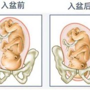 怀孕多少周胎儿入盆,胎儿啥时候开始入盆的