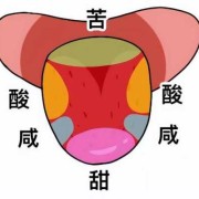 孕期味觉不好怎么回事（孕期味觉不好怎么回事儿）