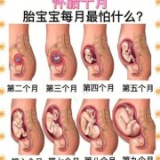 16天宝宝听歌好不好,胎儿最喜欢妈妈干啥