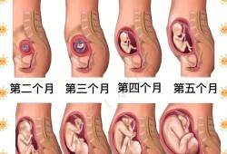 16天宝宝听歌好不好,胎儿最喜欢妈妈干啥