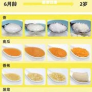 妈妈吃的东西宝宝能吸收多少,胎儿怎样吸收母体营养顺序