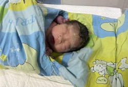 孕34周胎儿图片（孕34周胎儿图片视频）