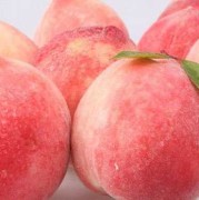 孕妇能不能吃桃子,孕妇能吃桃子吗?孕早期