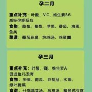 怀孕期间不能干什么（怀孕能不能吃臭干子）