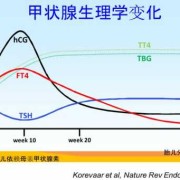 孕期桥本氏病（孕期桥本氏病）