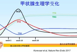 孕期桥本氏病（孕期桥本氏病）