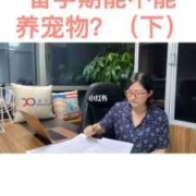 备孕期能养狗吗（怀孕初期可以养狗吗）