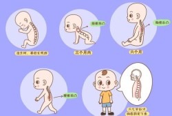 胎儿脊柱生理弯曲存在（宝宝躺着抬头正常吗）
