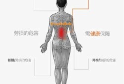 胎儿在腰部动（孕妇扭到腰了会影响胎儿吗）
