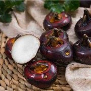孕期能吃马蹄（孕期能吃马蹄荸荠吗）