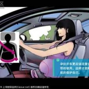 胎儿骑行（在交通法中孕妇开车是怎么规定的）