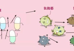 孕期得了霉菌（孕期得了霉菌性妇科炎症怎么办）