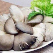 菌菇能吃吗,孕期吃菌菇好吗