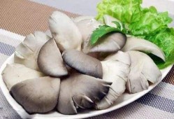 菌菇能吃吗,孕期吃菌菇好吗