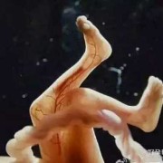 9个月肚子里宝宝老动,孕9个月胎儿图片