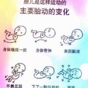 胎儿几个月胎动（胎儿几个月胎动比较频繁）