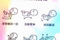 胎儿几个月胎动（胎儿几个月胎动比较频繁）