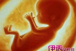 七月胎儿图（七月胎儿图片大全）