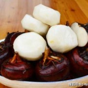 荸荠孕期可以吃吗（荸荠发芽能吃吗，荸荠发芽了怎么办）