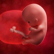 孕10周胎儿会动了吗,怀孕10周胎儿稳定了吗
